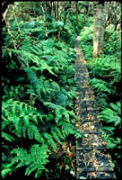 waikamo preserve, Hawaii